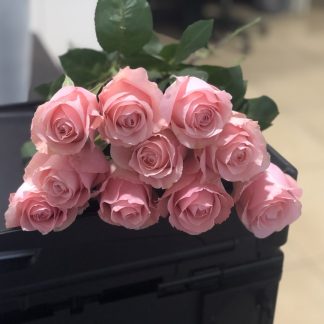 Τριαντάφυλλα Casual